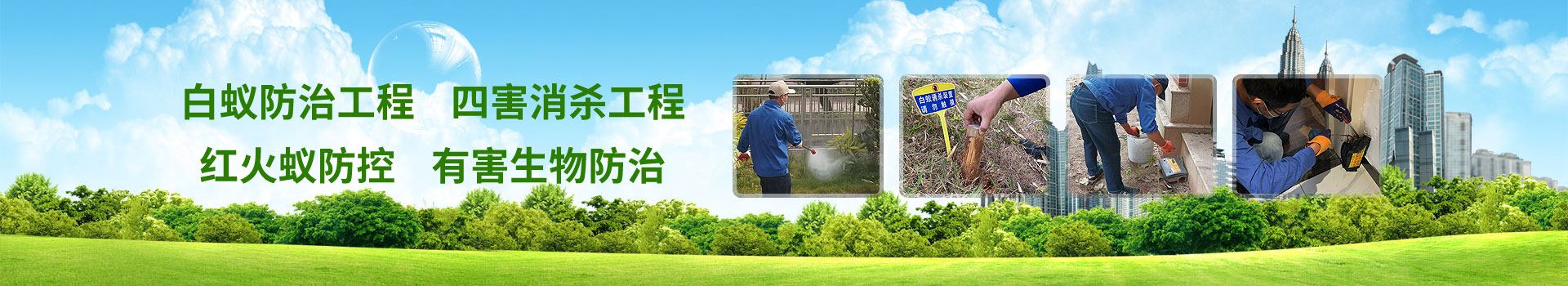 多年行业履历 专业防治工程步队-佛山市益伦白蚁虫害防治有限公司